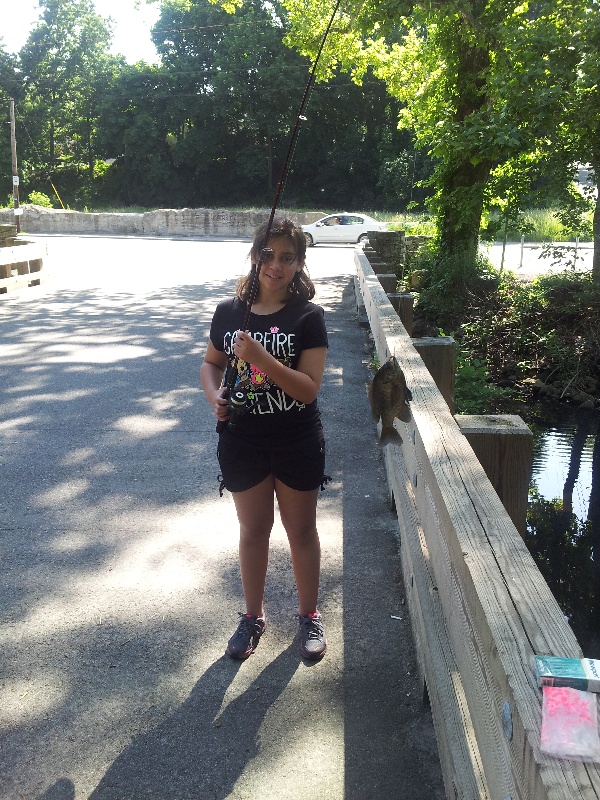 pocasset cemetary bridge