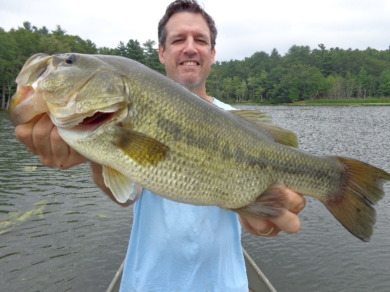 Big one of the Day