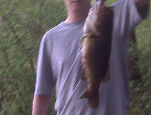 A Nice Catch