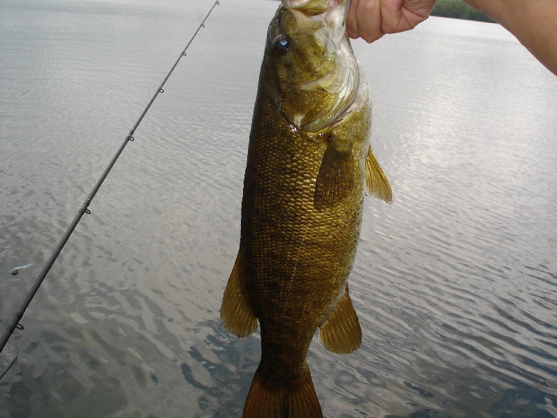 Upper Mill Pond Smallie