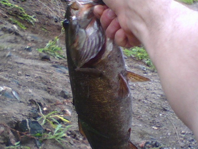 river in palmer 2011