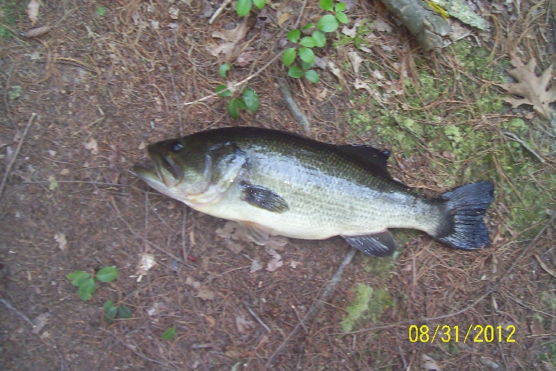 dean pond aug 2012
