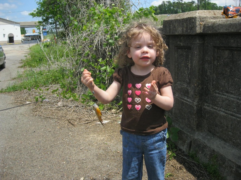 my 3 year old 