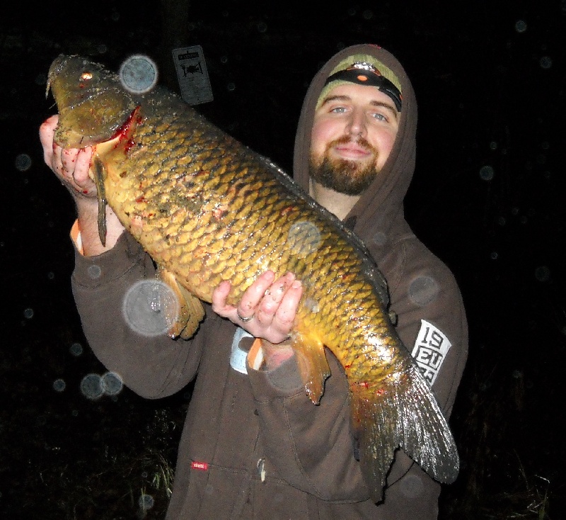 18.5 lb. Carp
