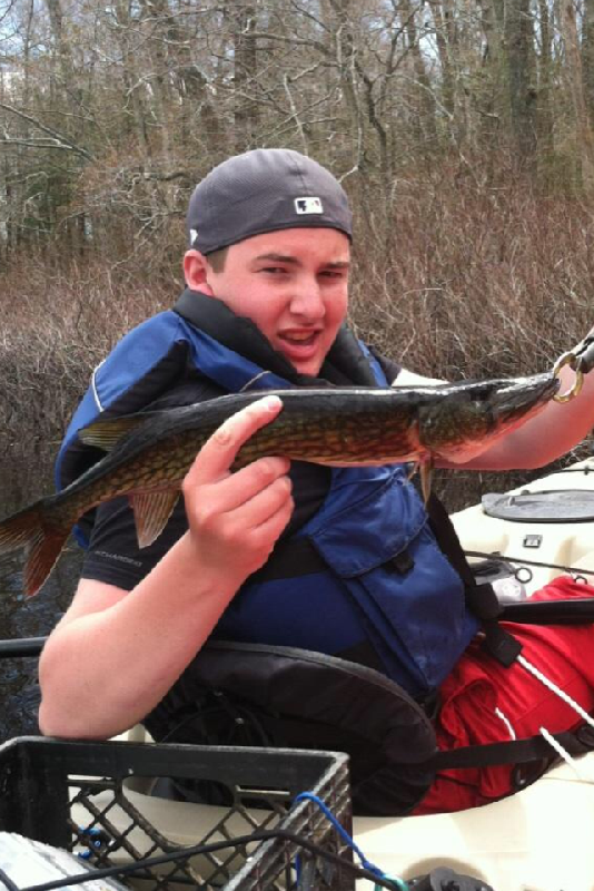 pickerel at the nip