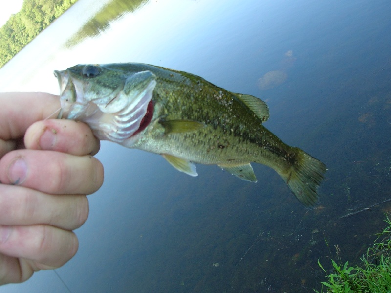 Hannah's first bass