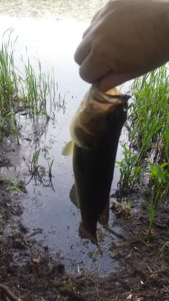 Another one