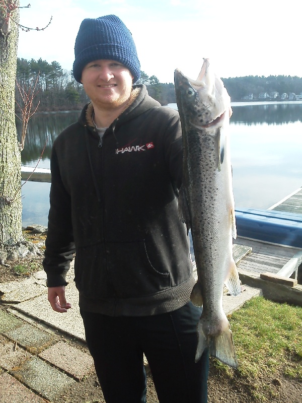 Brookstock Salmon