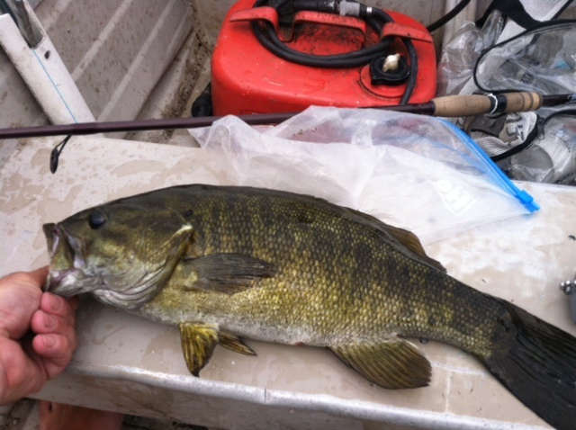 Smallie2