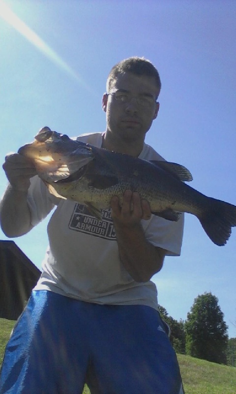 Huge LMB