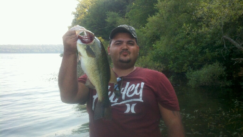 pig!!