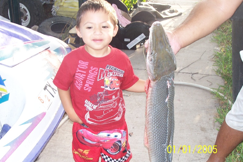 baby gar