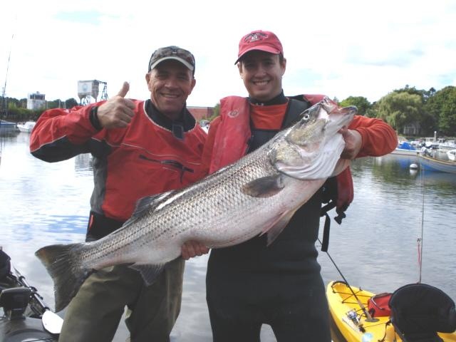 bigbass