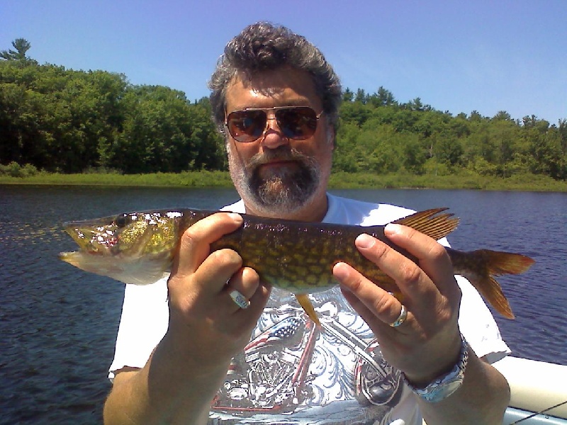 19 in. Pickerel