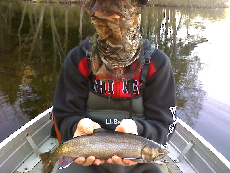 My friend Keiths 17in. Brookie