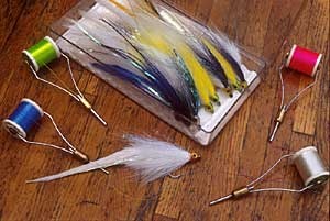 Flys of the Northeast