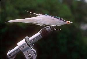 Herring imatation