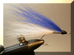 Argentine Blonde
