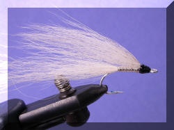 Platium Blonde