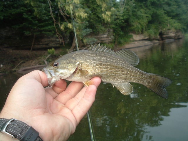 Greenbrier WV