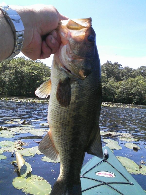 Turner Res. In east Prov. R.I.