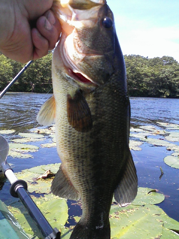 Turner Res. In east Prov. R.I.