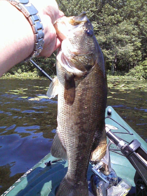 Turner Res. In east Prov. R.I.
