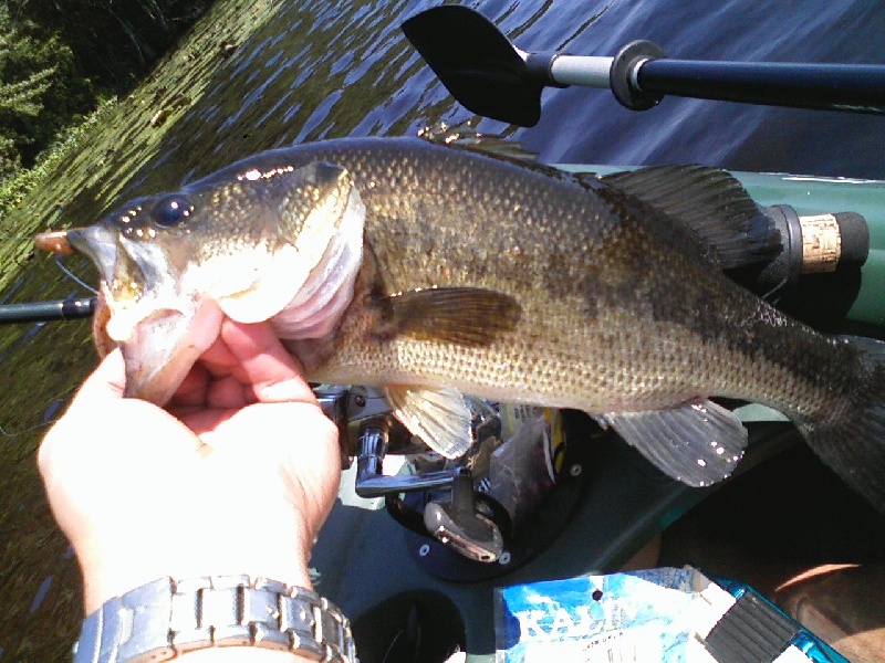 Turner Res. In east Prov. R.I
