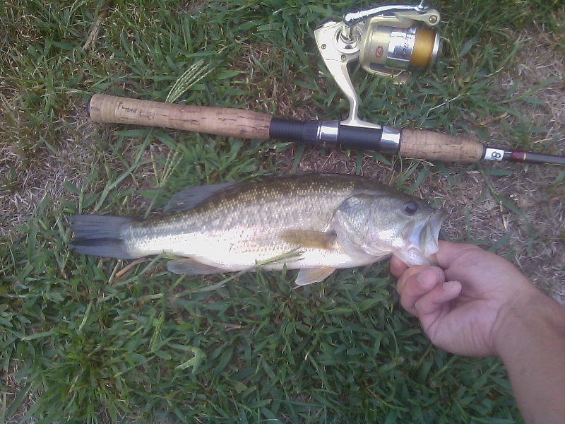 lillinonaoh smallie