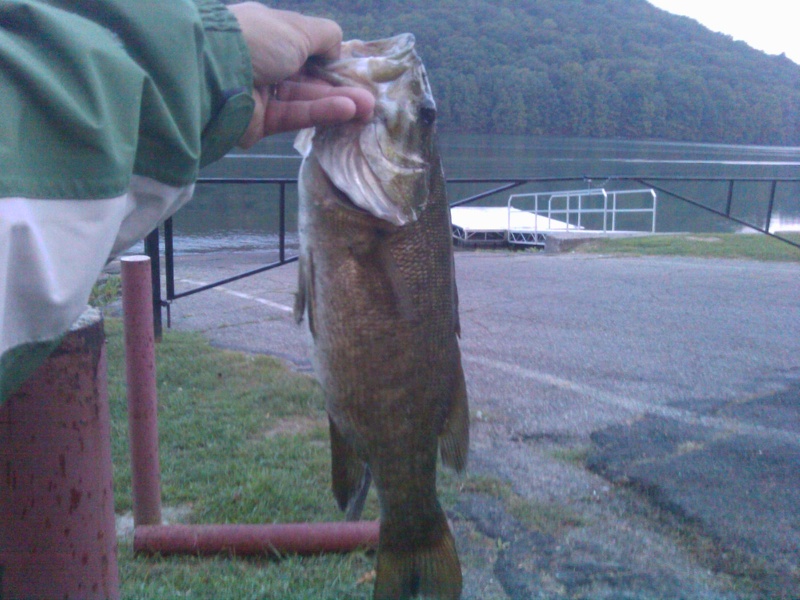 My largest smallie this year