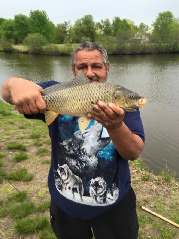 my dads 2 pound carp 