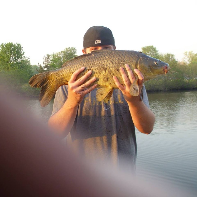 13 pound carp 