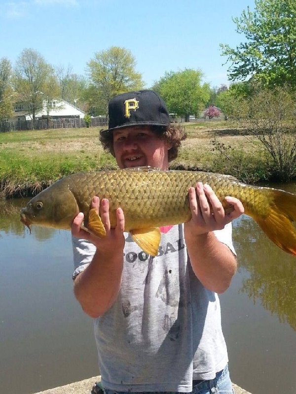 8 pound carp 