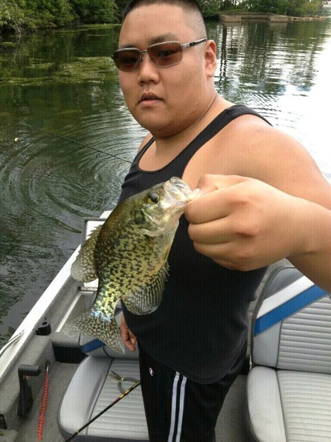 Crappie