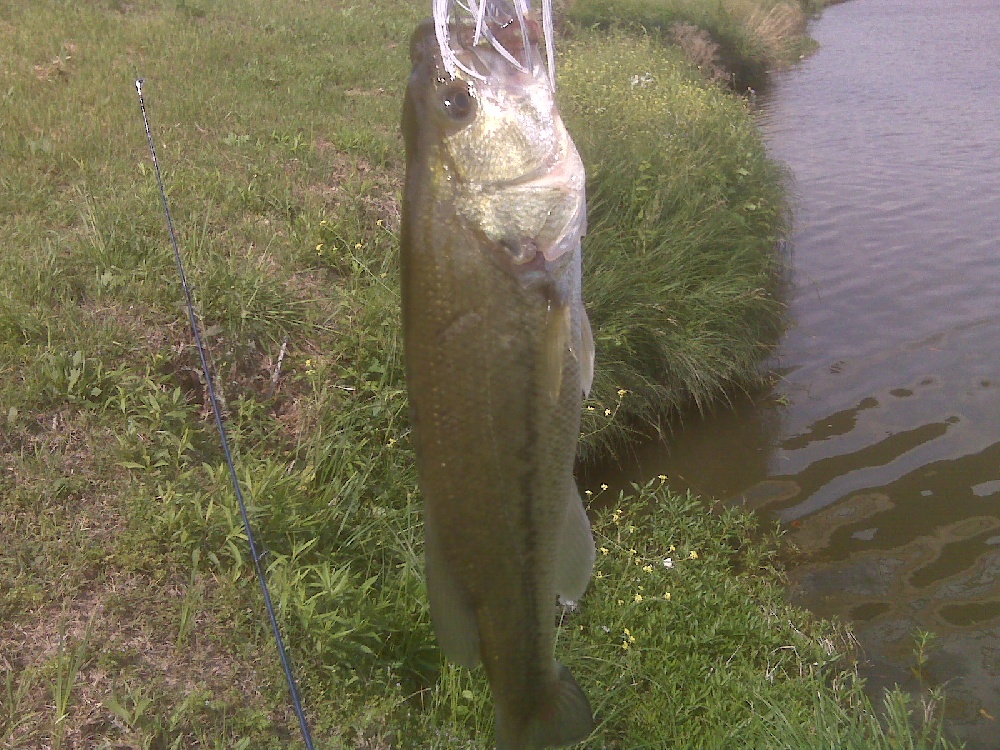 Irving fishing photo 1