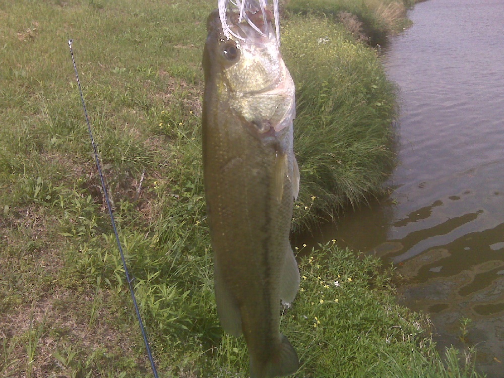 Everman fishing photo 2