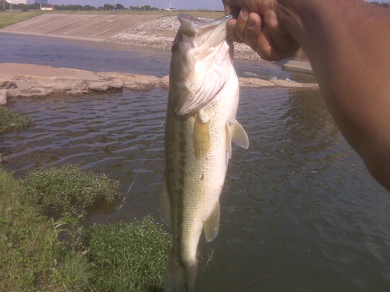 Lakeside fishing photo 5