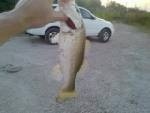 Fishin kirby Fishing Report