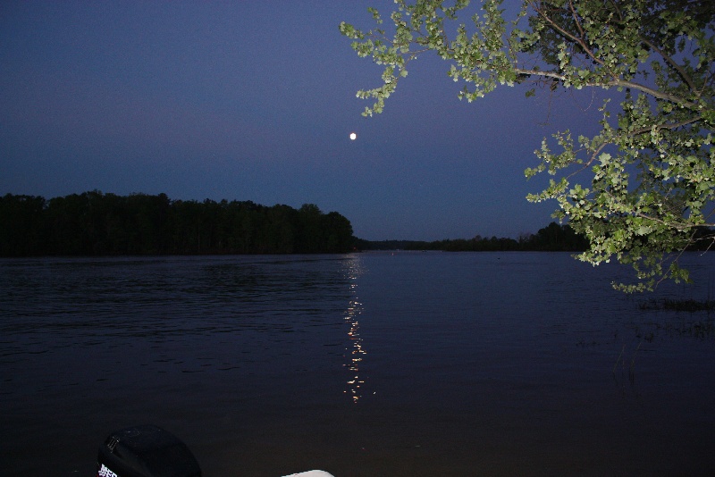 Millers Ferry Alabama