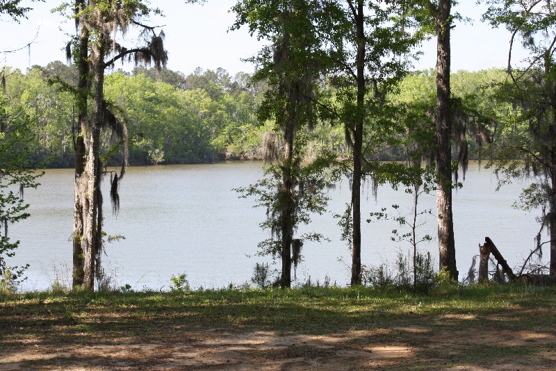 Roland Cooper State Park