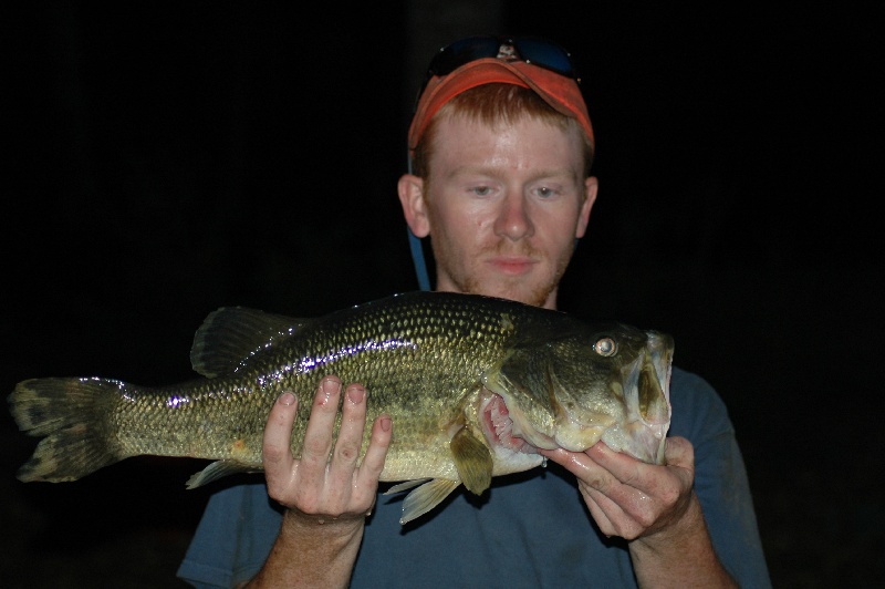 7-1/4 Largemouth