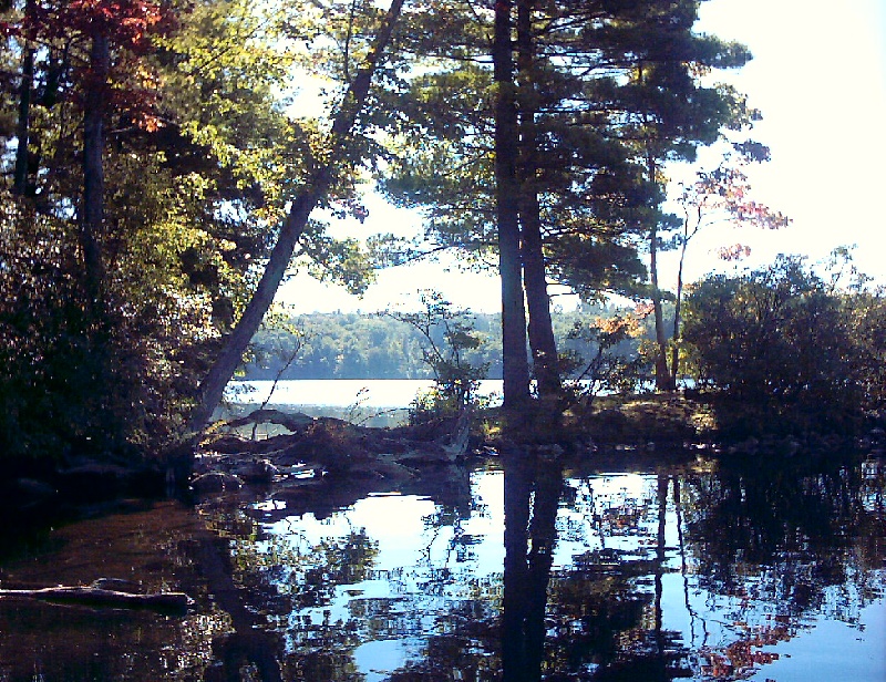Happy Cove