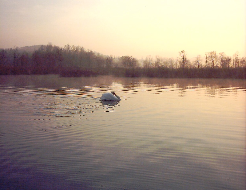 Perfect day (allmost)