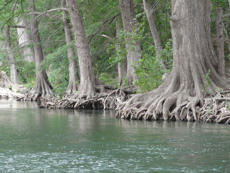 Seguin fishing photo 1