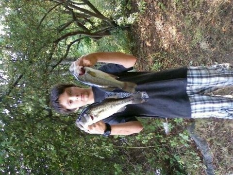 two 1 pounders