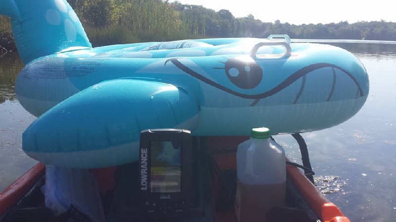 Whale on the Yak