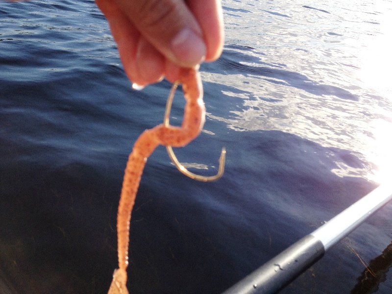 Bent hook