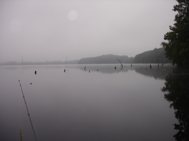1A stump pond