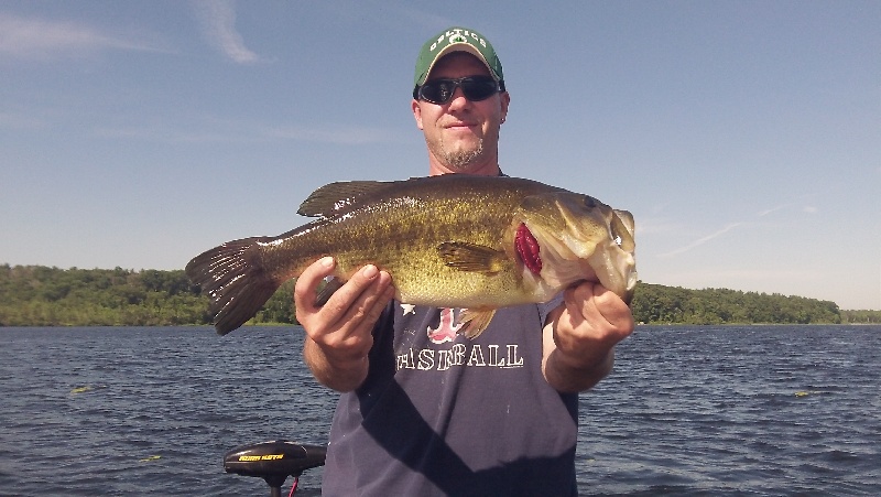 6lbs even