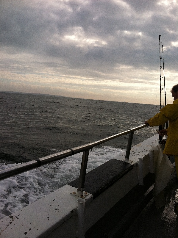 Bad weather forecast but we got lucky